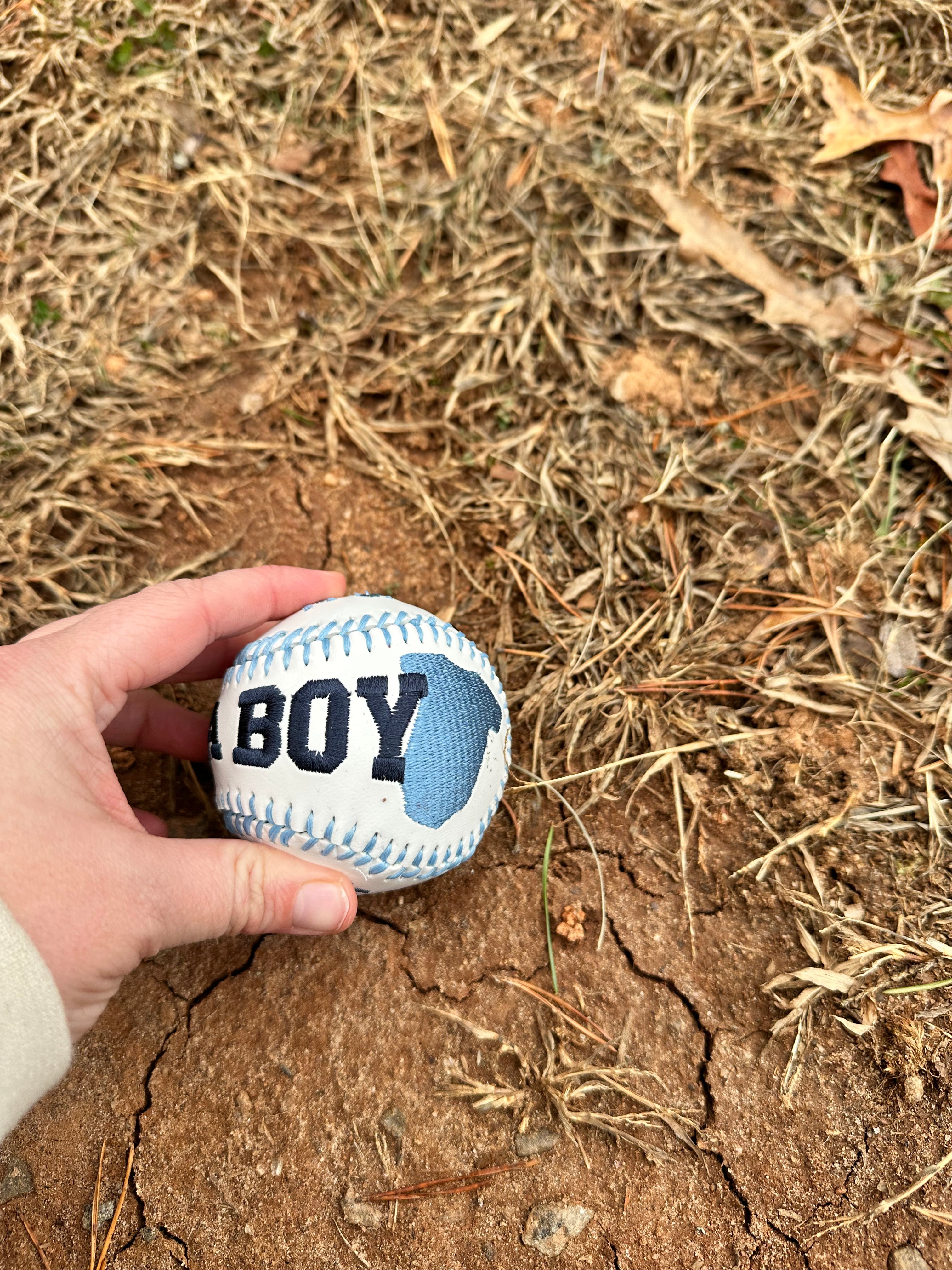 Embroidered Baseball/Softball